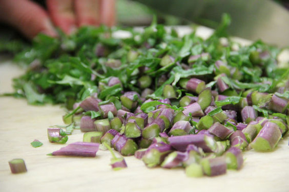 Kale Stems