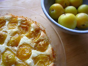 Crustless Ricotta Pie with Yellow Plums