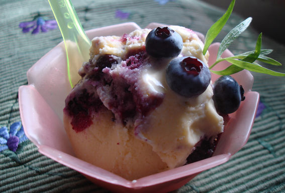 Corn-blueberry-ice-cream