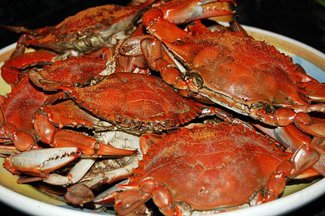 Favorite Festival Steamed Crabs
