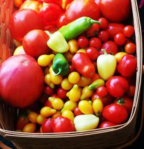 End of Summer Tomato Cruda