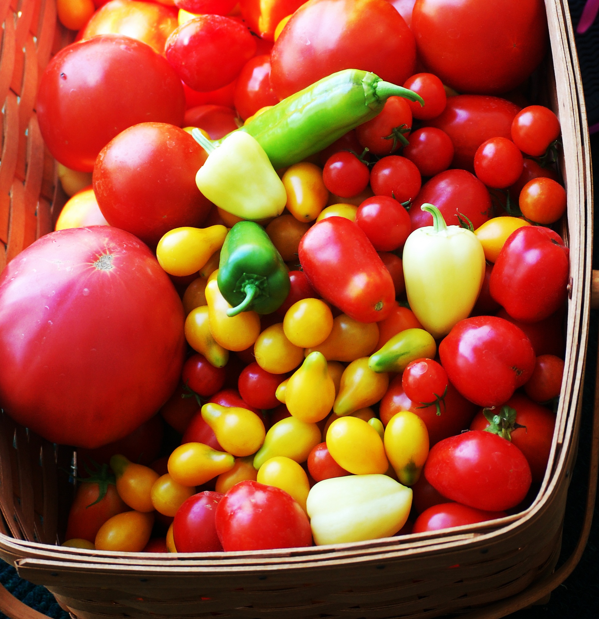End of Summer Tomato Cruda