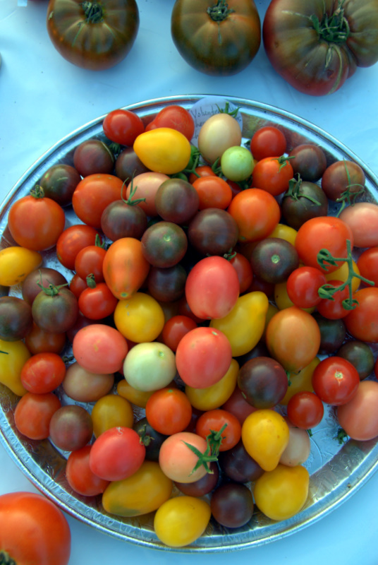 Gazpacho with Anchovy-Tomato Toasts