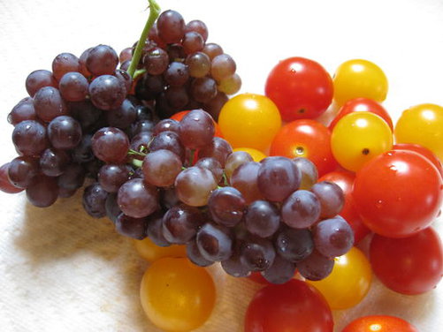 Cherry Tomato and Champagne Grape Tart