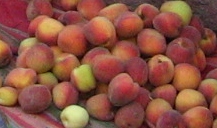 Peach Tomato Tart