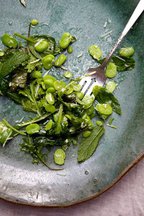 Fava Bean Salad with Mint, Mustard Greens & Parmesan 