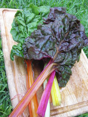 Warm Chard And Farro