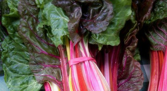 Gingered Chard
