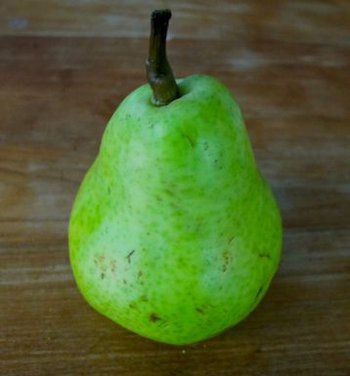 Braised Pears with Brandy Orange Sauce