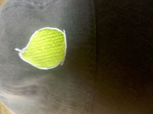 Pear_thomas_hill
