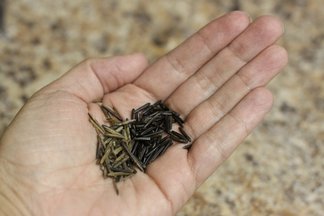Wild Rice with Cherries