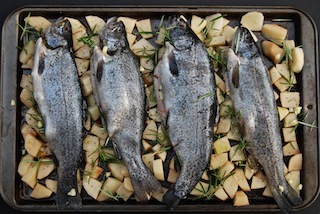 Whole Roasted Fish with Rosemary Potatoes 