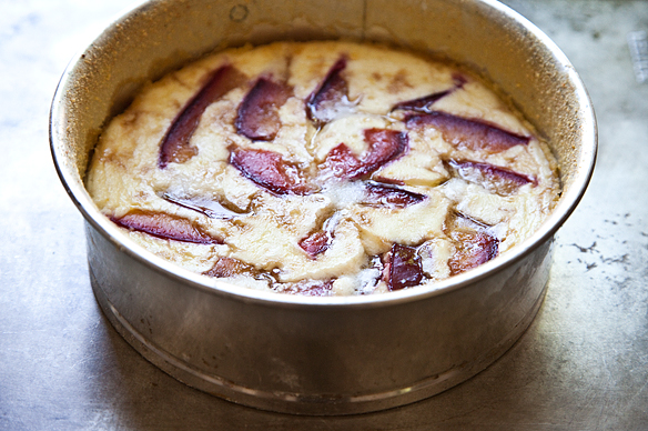 Ricotta and Plum Tartlets 