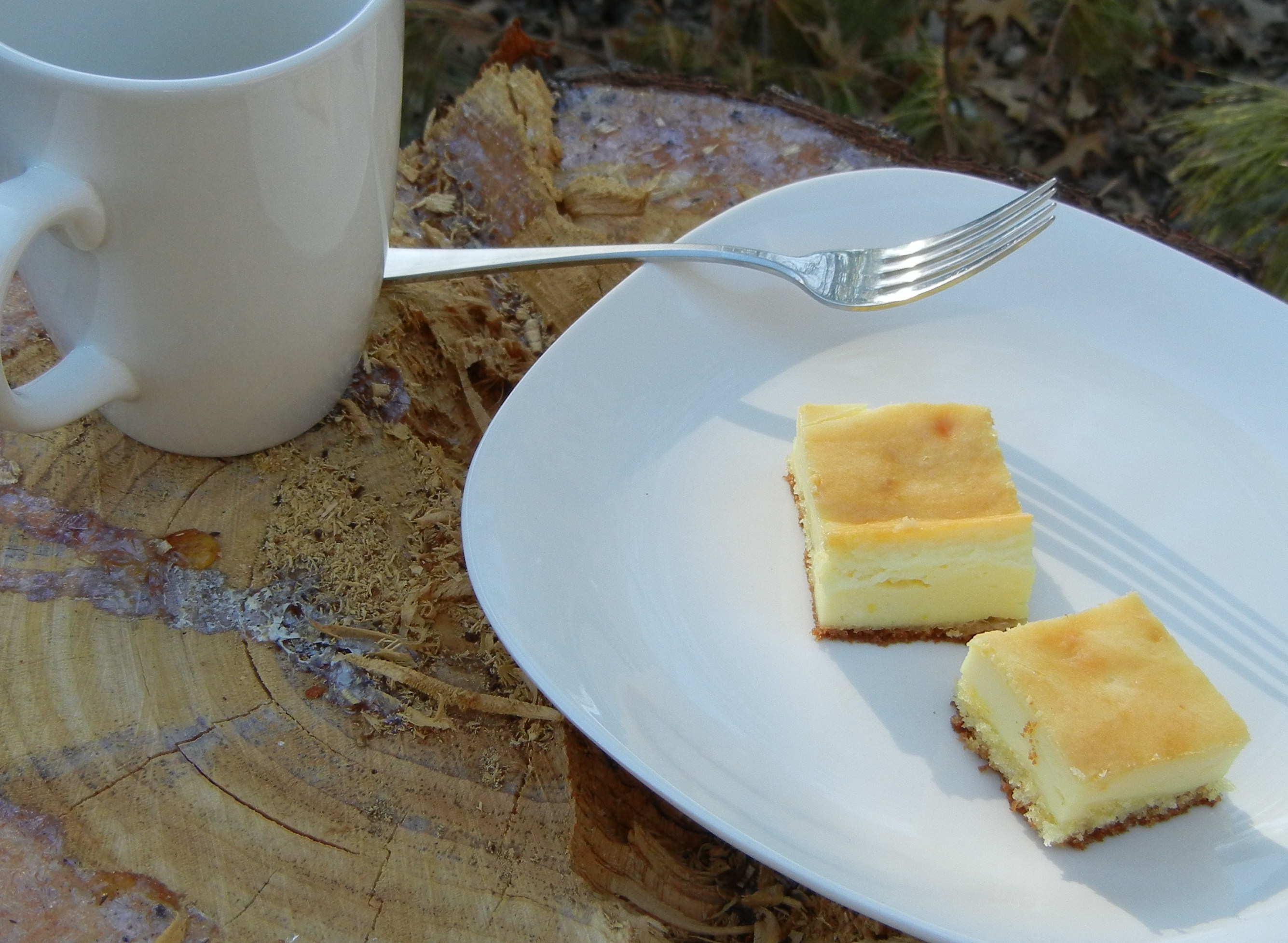 Oma's Bavarian Cheesecake Bites