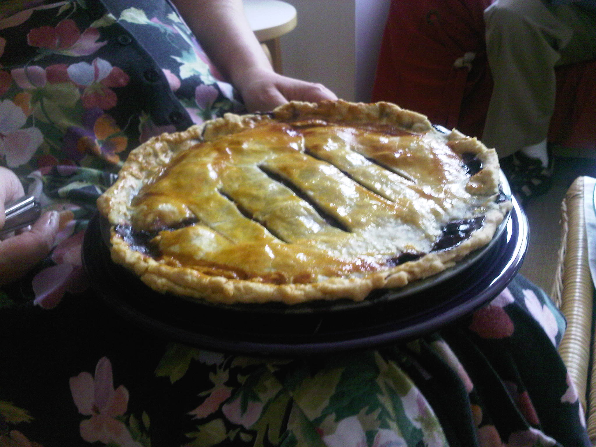 Concord Grape Pie with Walnuts and Orange Zest