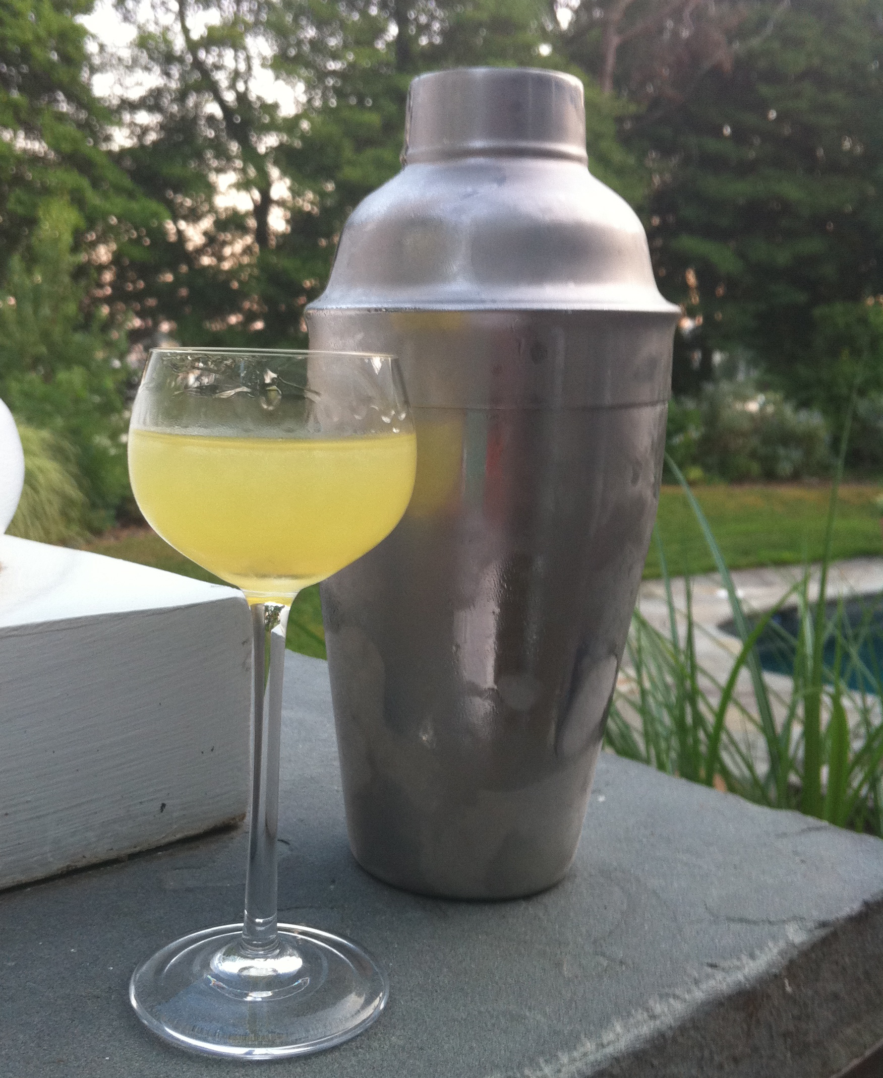 Homemade Limoncello
