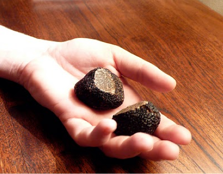 Eggs with Black Truffles (Brouillade de Truffes)