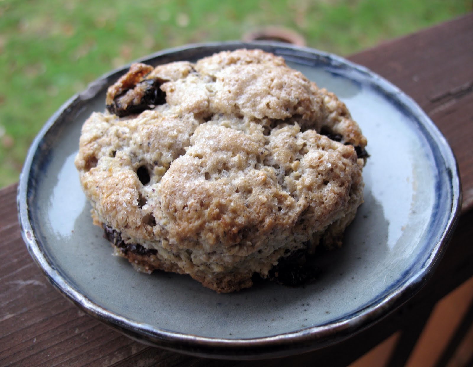 Oaty Cornmeal Scones with Sour Cherries (aka Old-Fashioned Scones)
