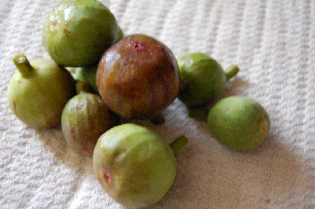 Warm Prosciutto Figs Cambozola