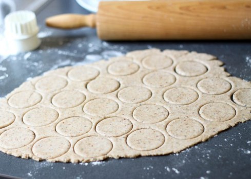 Charcutepalooza Finalist: One Vanilla Bean 