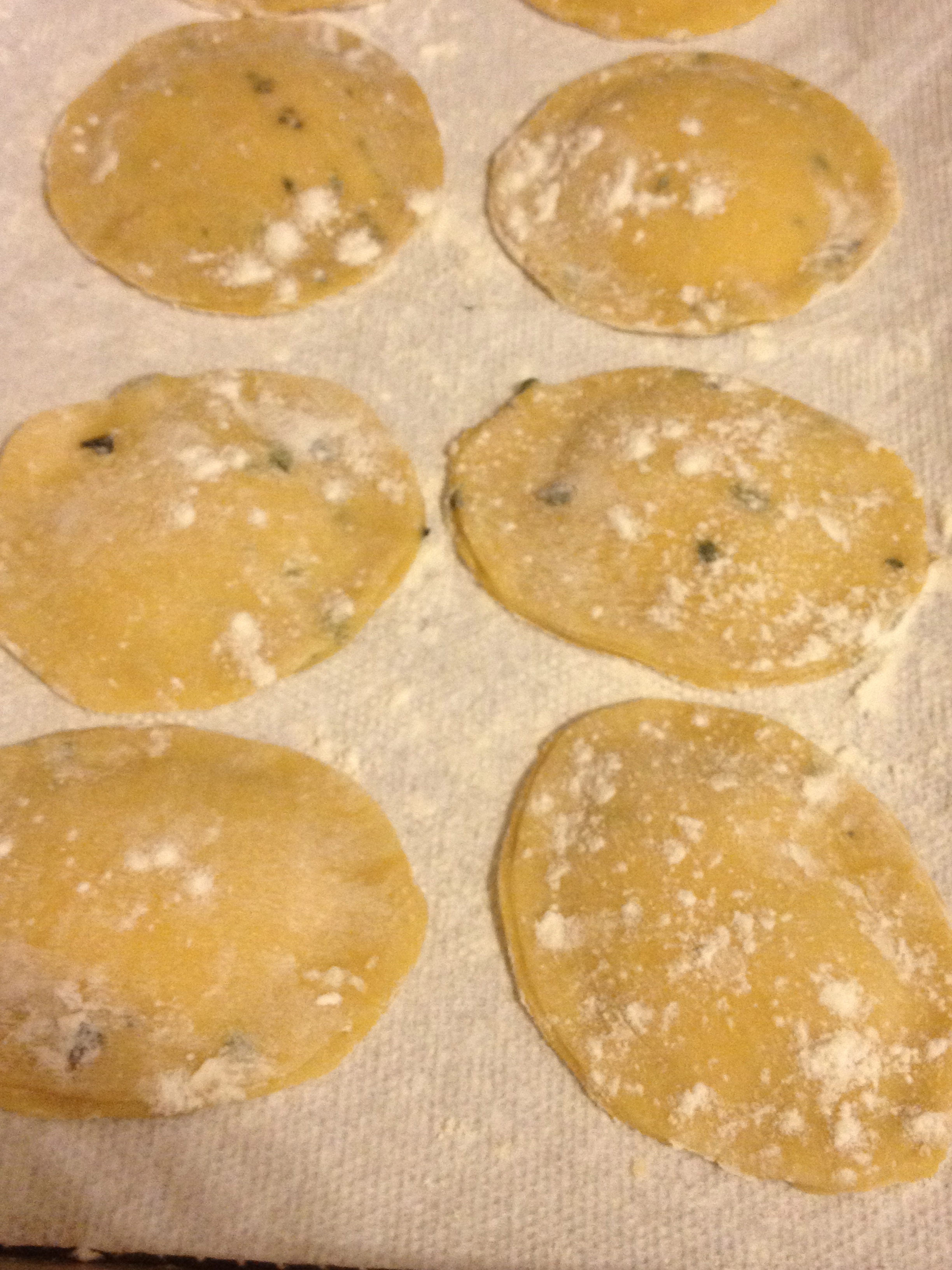 Homemade Sage Ravioli With Ricotta,Walnut and Shredded  Herbed Duck Sauce