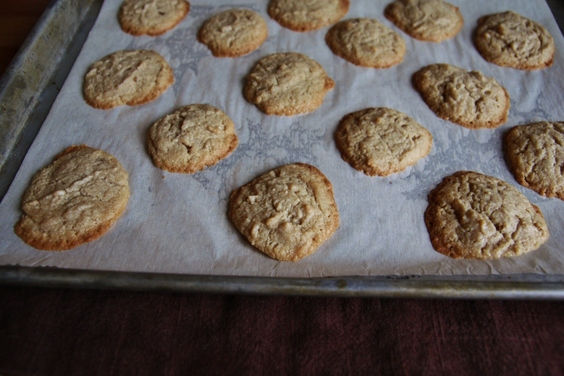 Ginger Cream Cheese Cookies