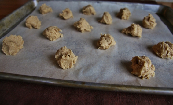 Ginger Cream Cheese Cookies