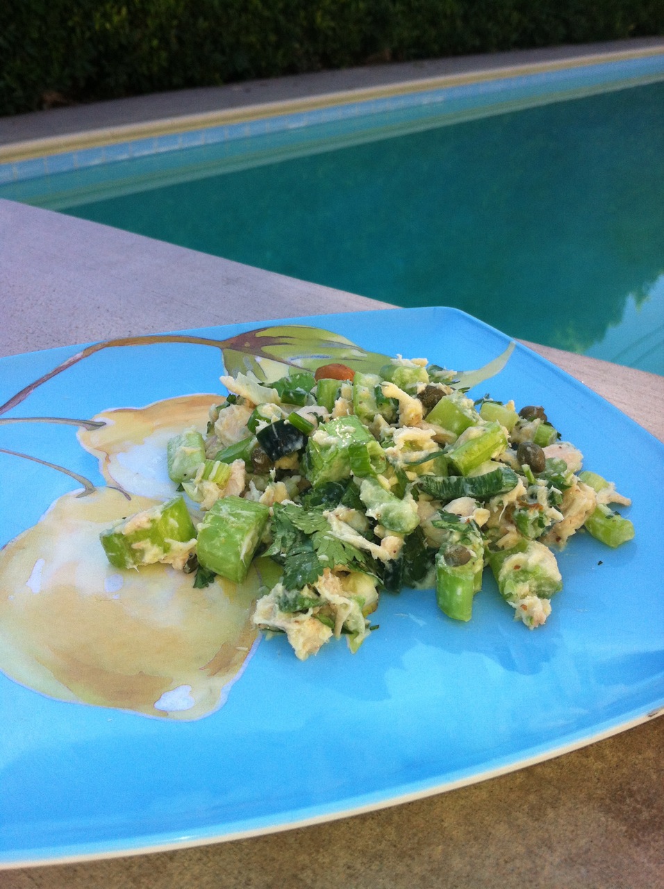 Dave's Desert Tuna Salad