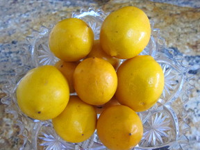 Meyer_lemons_for_curd