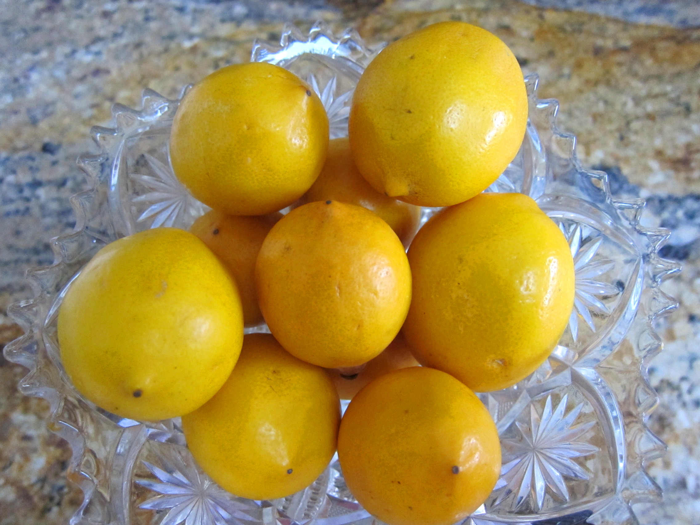 My Meyer Lemon Marmalade