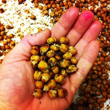 lemon roasted chickpeas