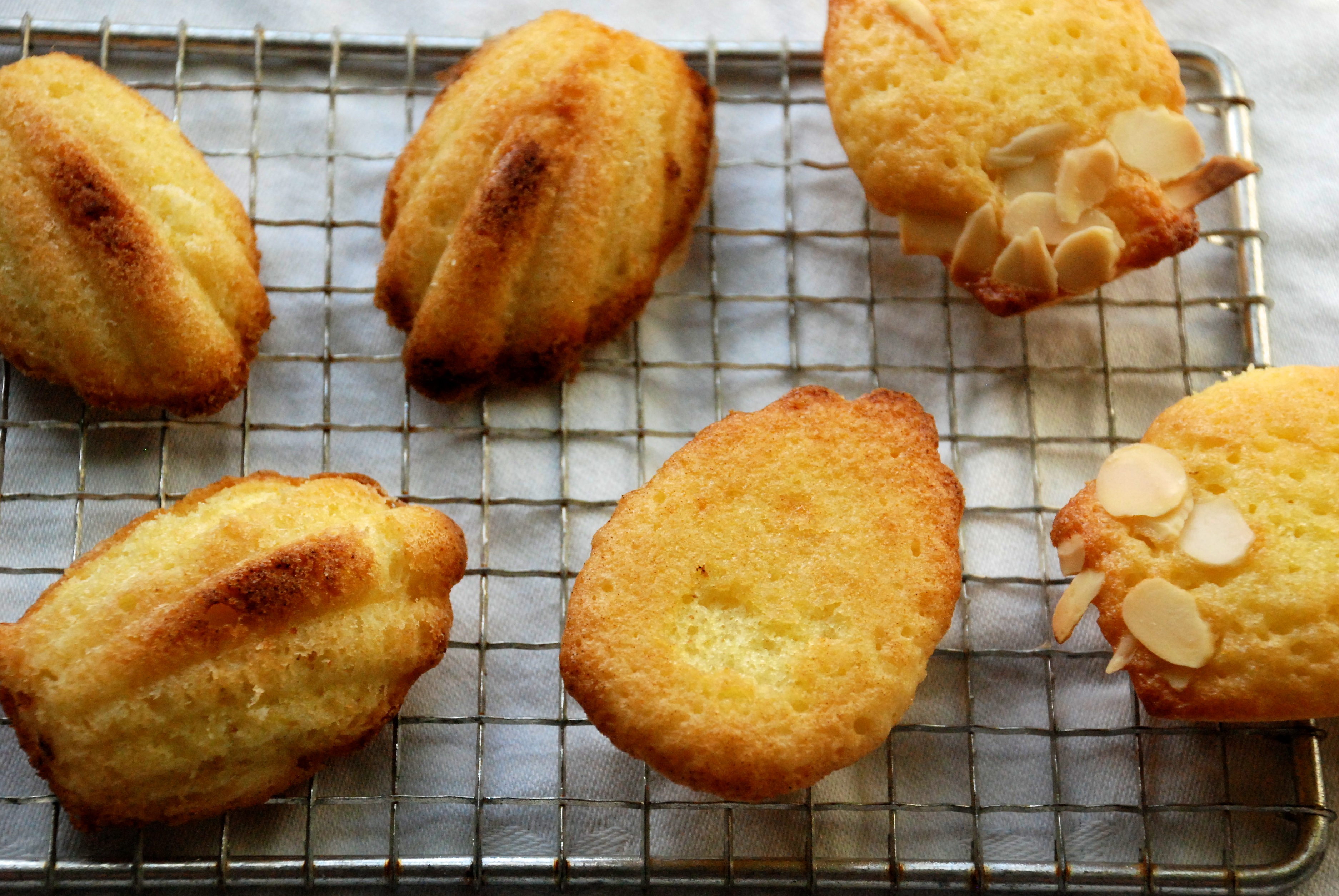Citrus Madeleines