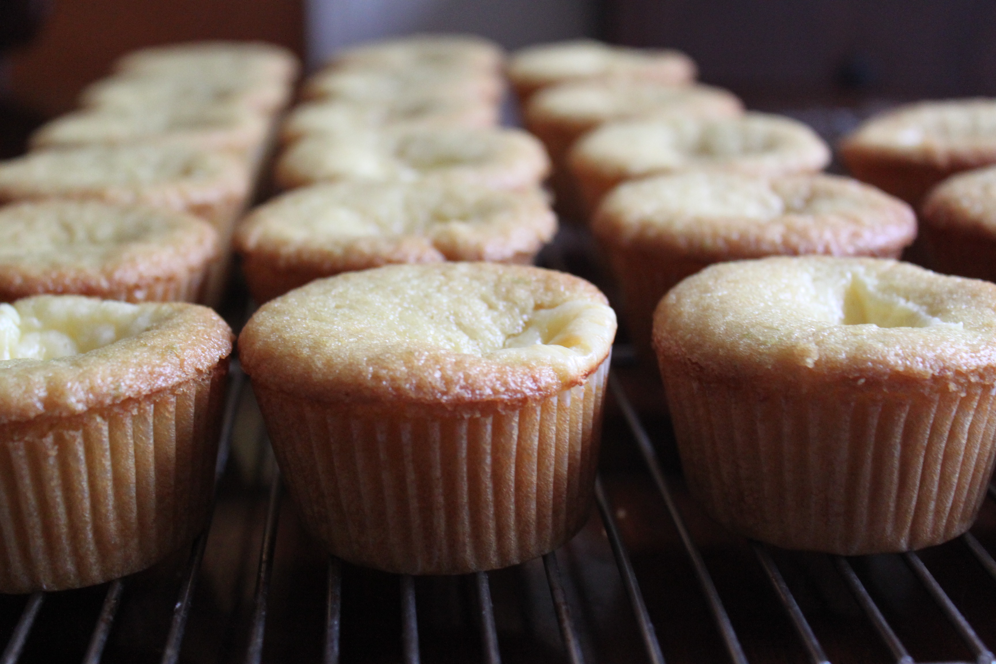 lemon-lime cheesecake muffins