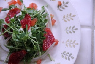 Blood Orange and Pea Sprout Salad