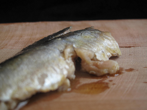 Sarde Con Olie - Homemade Tinned Sardines