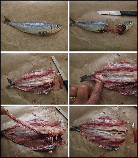 Sarde Con Olie - Homemade Tinned Sardines