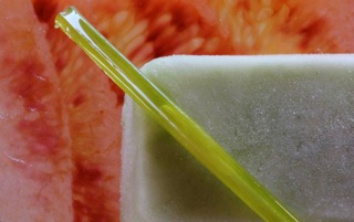 Celery Prosecco Pops, Citrus Gelatine