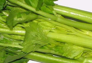 Soused Sardinian Celery