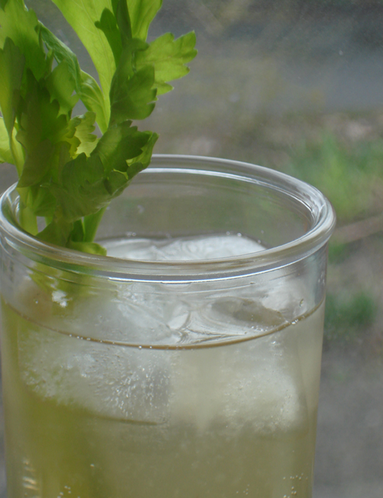 Celery Soda Recipe on Food52