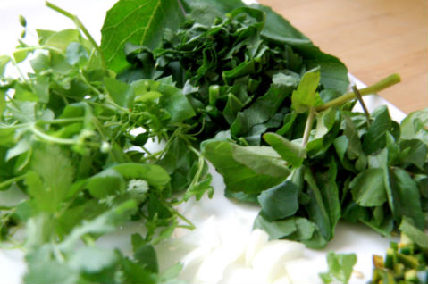 Wild Curly Dock Masala , Foraged Watercress & Wild Spicy Mustard Leaf Chutney