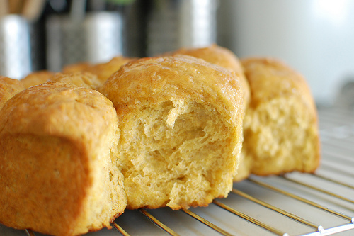 Pumpkin Maple Oat Rolls