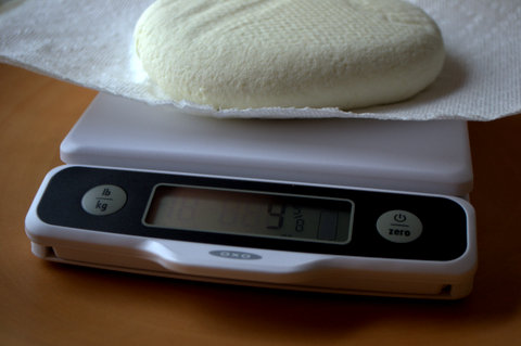 Homemade Paneer