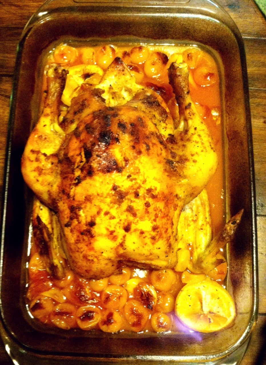 Moroccan Bird