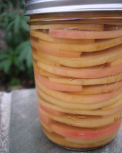 Quick Pickled Apples