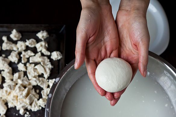 Mozzarella