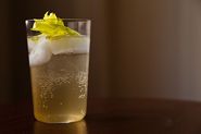 Celery Soda