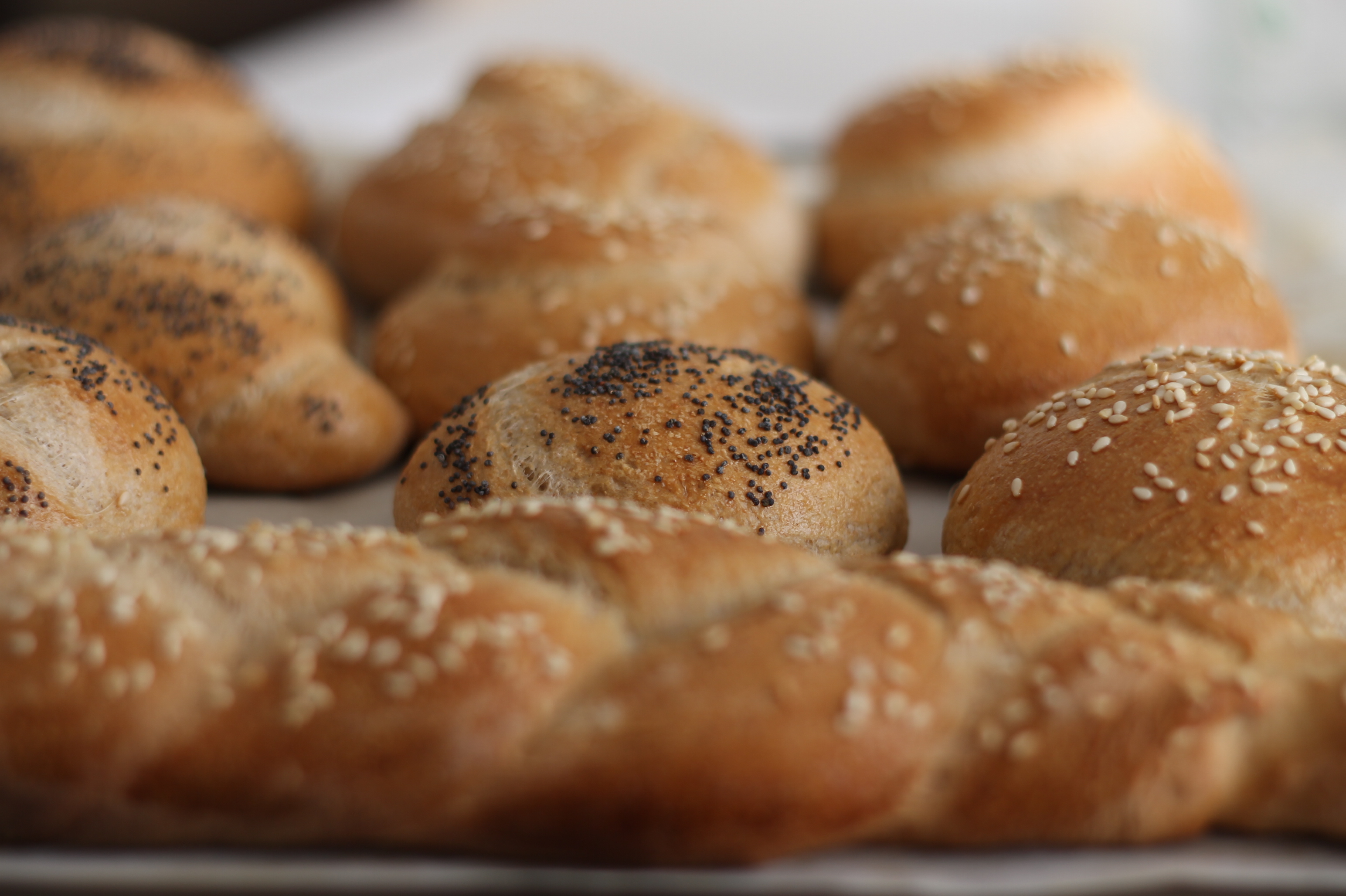 Shabat Bread Rolls and Mini Chalas