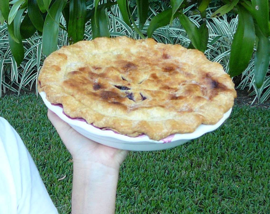 Crusty Blueberry Pie