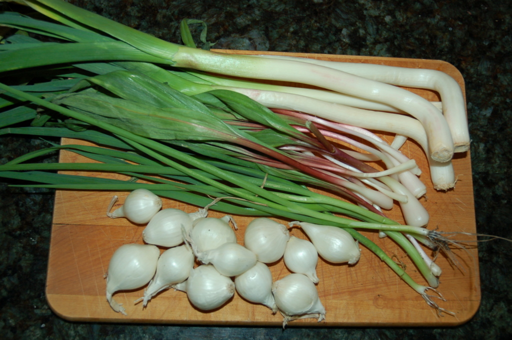 Green Garlic, Ramp and Onion confit Recipe on Food52