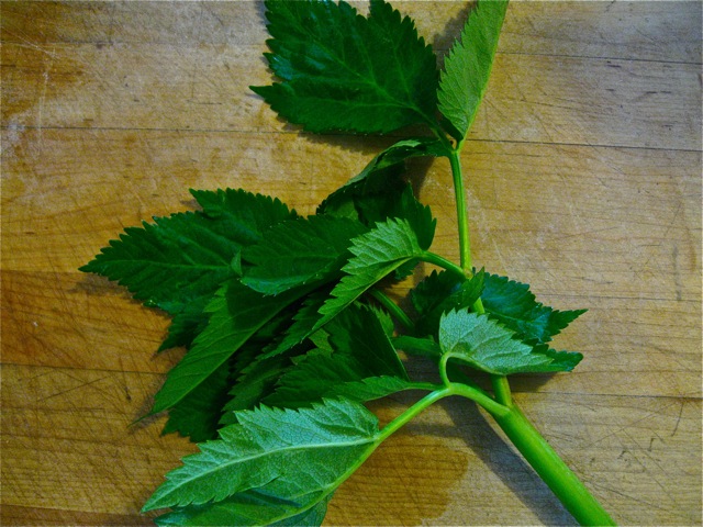 Green Goddess Dressing Revisited